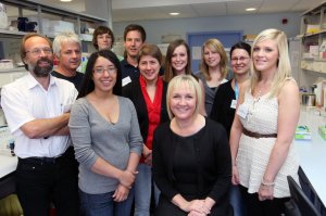 alzheimers research team @ Cardiff Uni